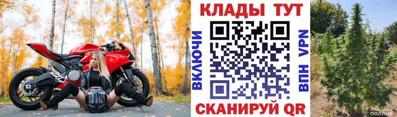 Купить наркотики сайты Грязовец Alpha-PVP  Конопля  Псилоцибиновые грибы  ТГК  Гашиш  COCAIN  Амфетамин  Меф мяу мяу  МЕТАМФЕТАМИН 